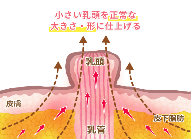 陥没乳頭をセルフケアするピュアナスクリーム-[ピュアナス公式通販]