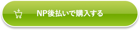 NP後払いで購入する