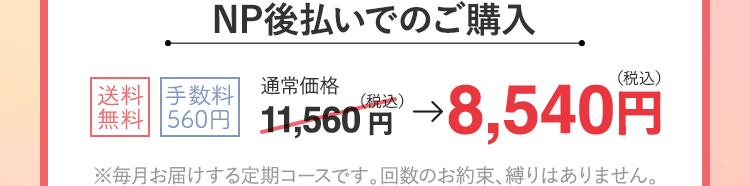 NP後払いでのご購入